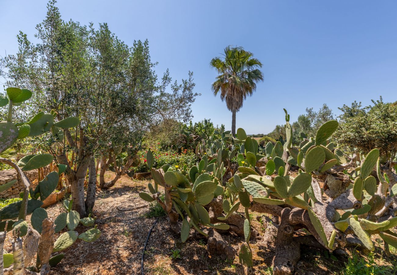 Country house in Santa Margalida - Almares, Finca 5StarsHome Mallorca