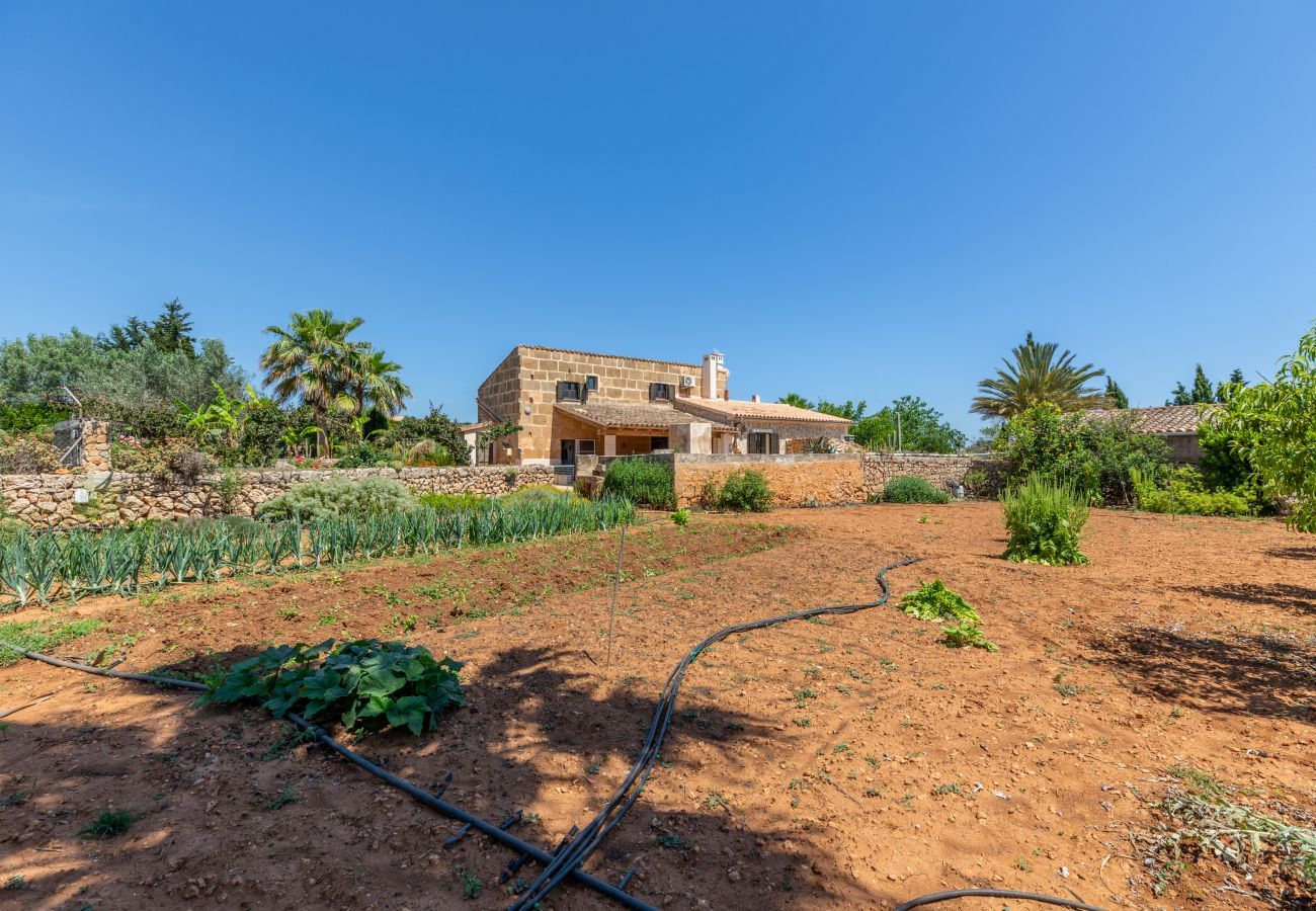 Country house in Santa Margalida - Almares, Finca 5StarsHome Mallorca