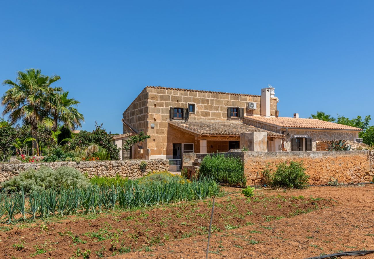 Country house in Santa Margalida - Almares, Finca 5StarsHome Mallorca
