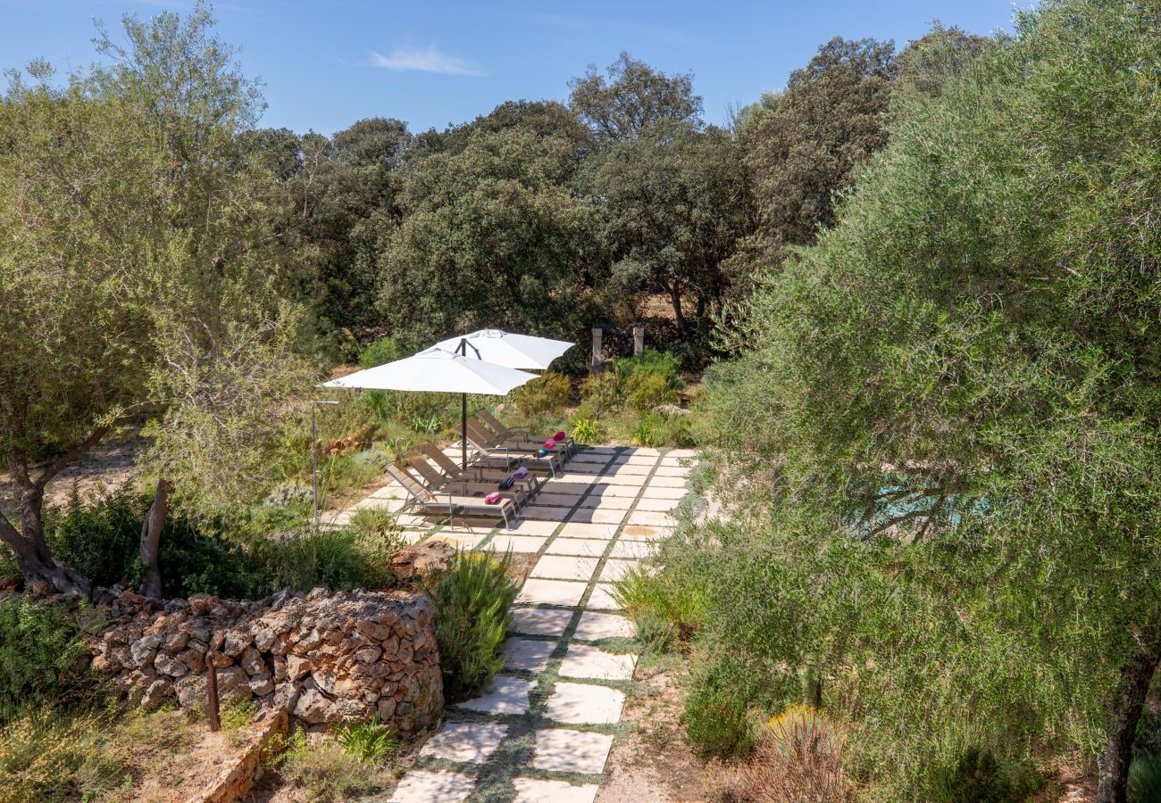 Country house in Costitx - Camadix, Finca 5StarsHome Mallorca