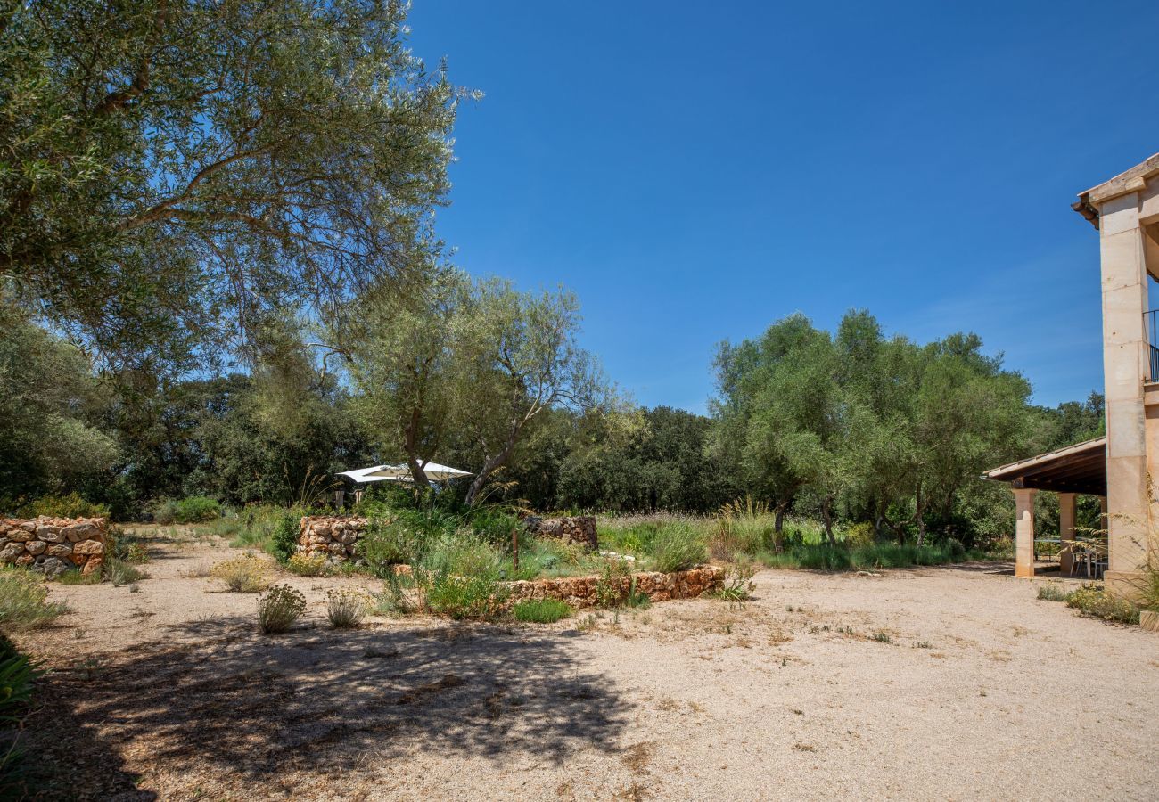 Country house in Costitx - Camadix, Finca 5StarsHome Mallorca