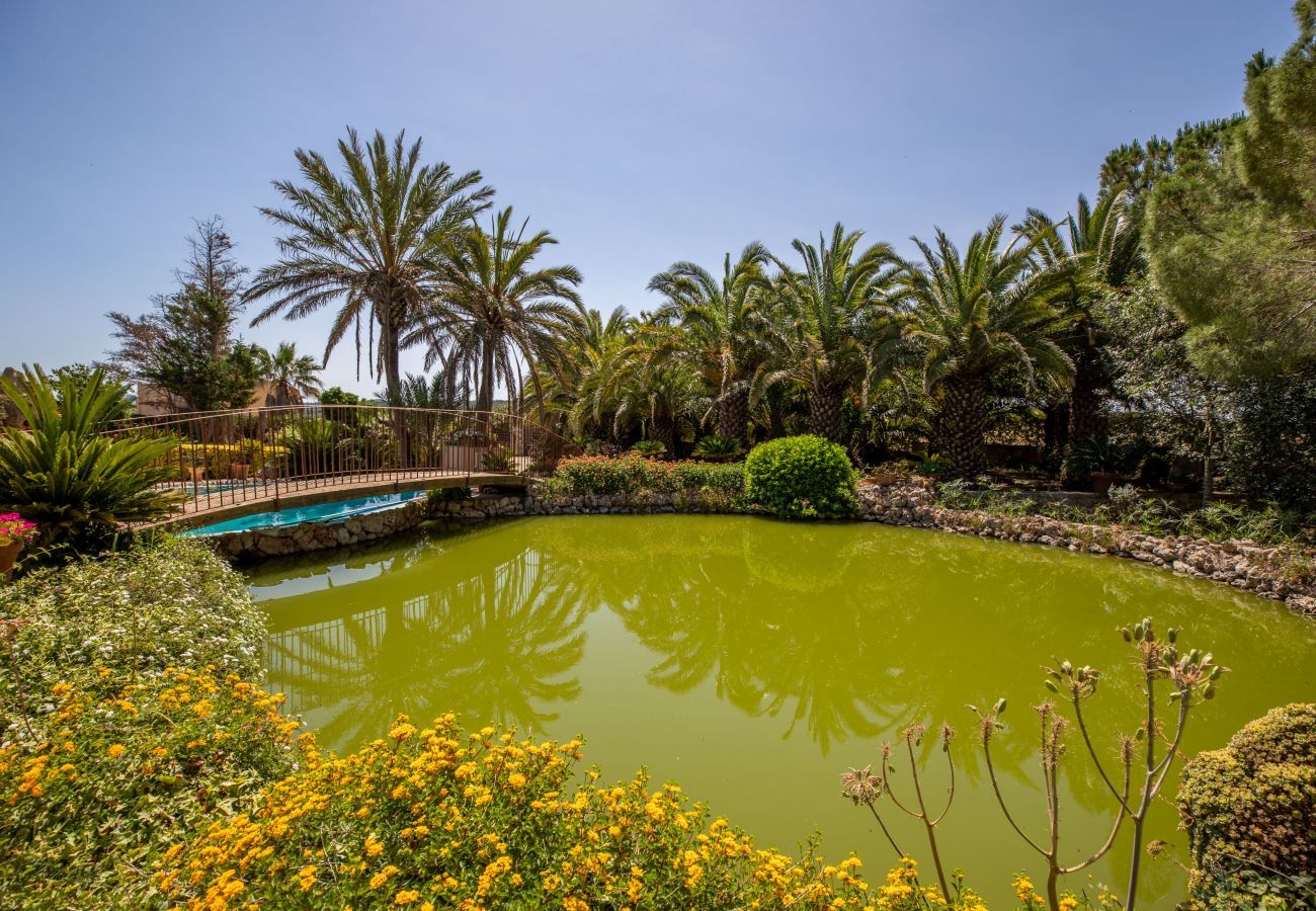 Country house in Ariany - Molivent, Finca 5StarsHome Mallorca