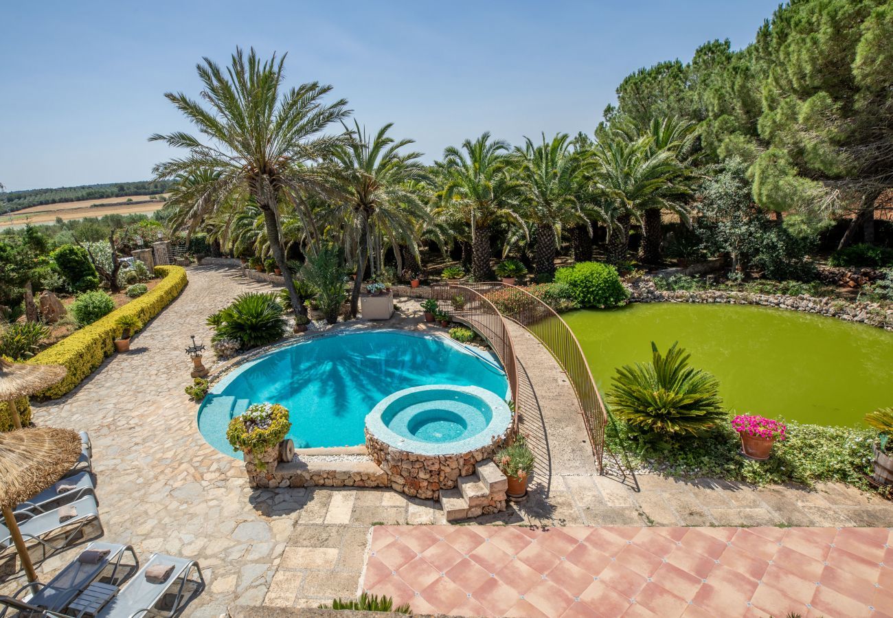 Country house in Ariany - Molivent, Finca 5StarsHome Mallorca