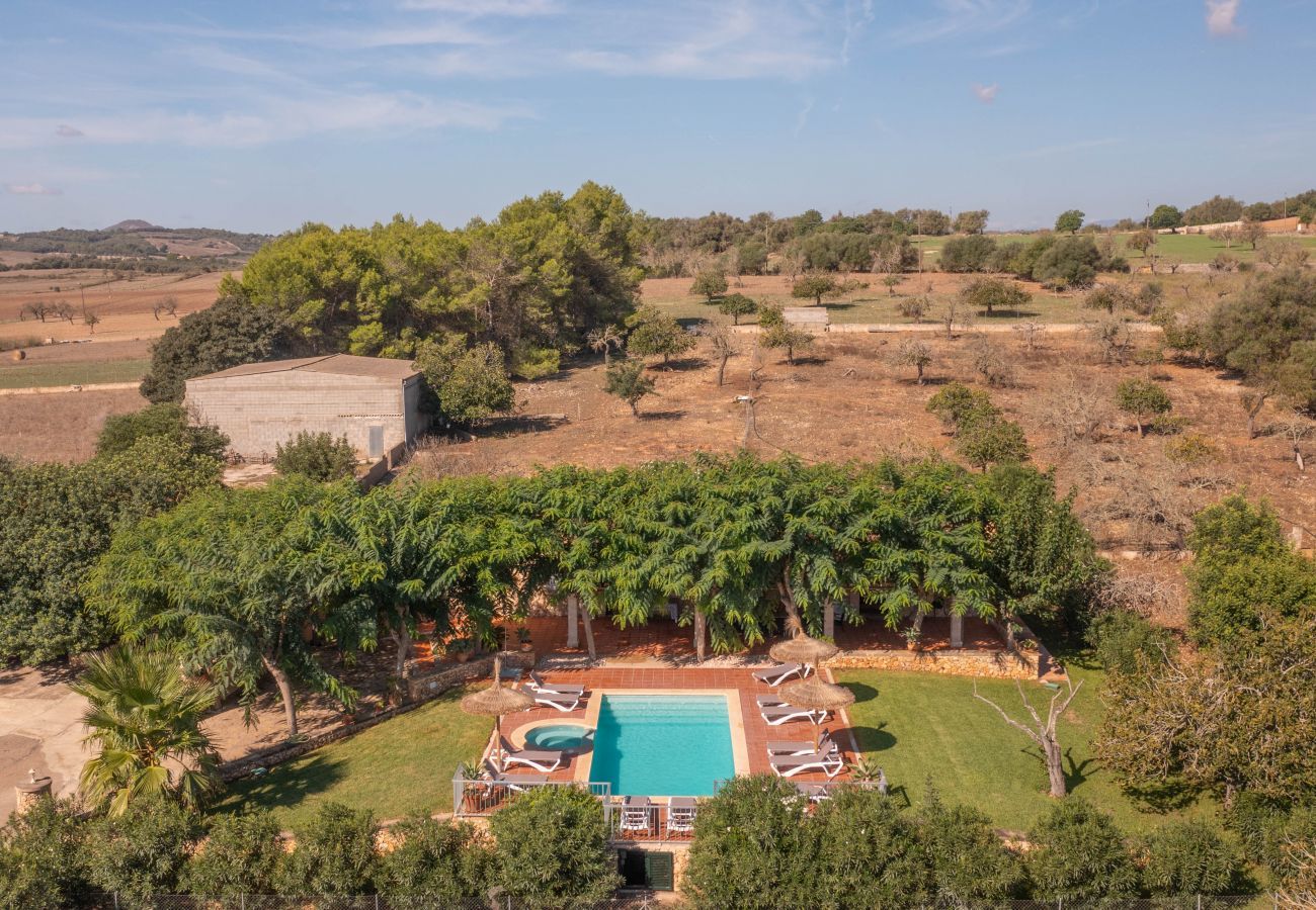 Country house in Ariany - Mariany, Finca 5StarsHome Mallorca