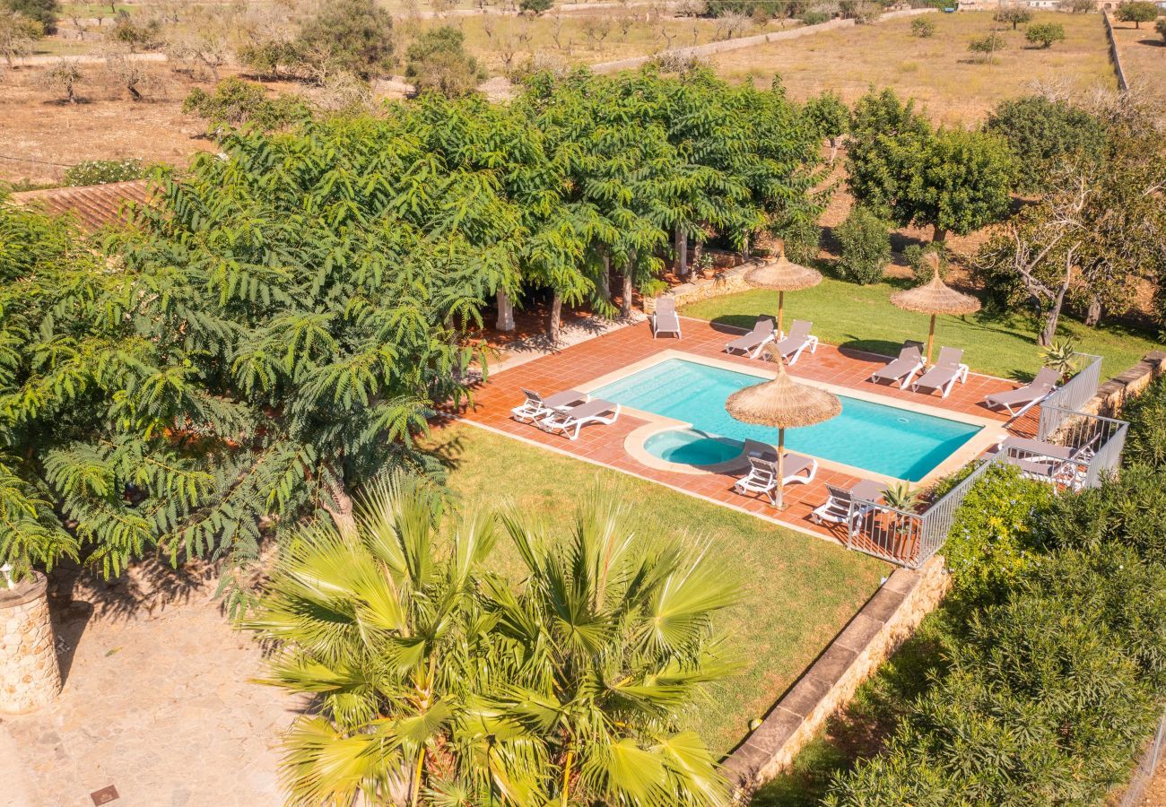 Country house in Ariany - Mariany, Finca 5StarsHome Mallorca