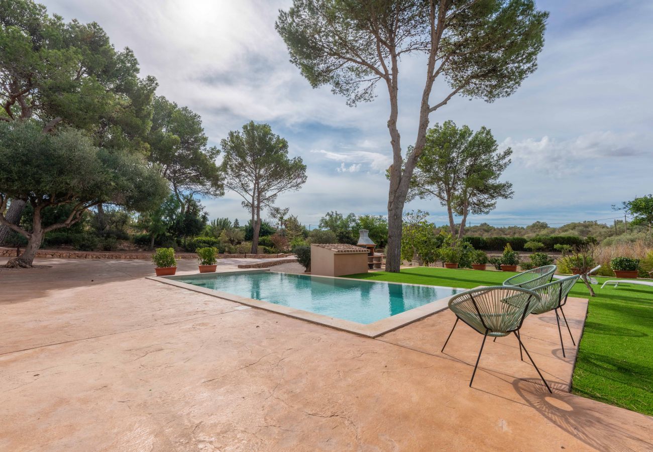 Villa in Palma de Mallorca - Lussy, Villa 5StarsHome Mallorca