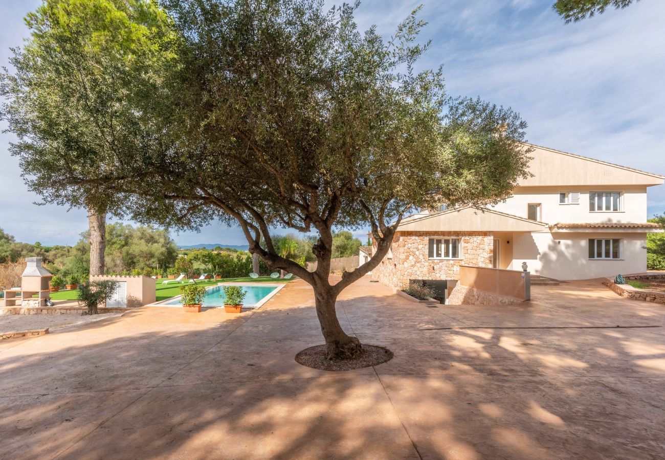 Villa in Palma de Mallorca - Lussy, Villa 5StarsHome Mallorca