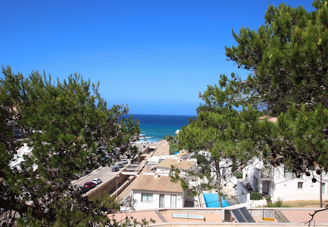 Views of the beach of Cala de San Vicente, Pollensa
