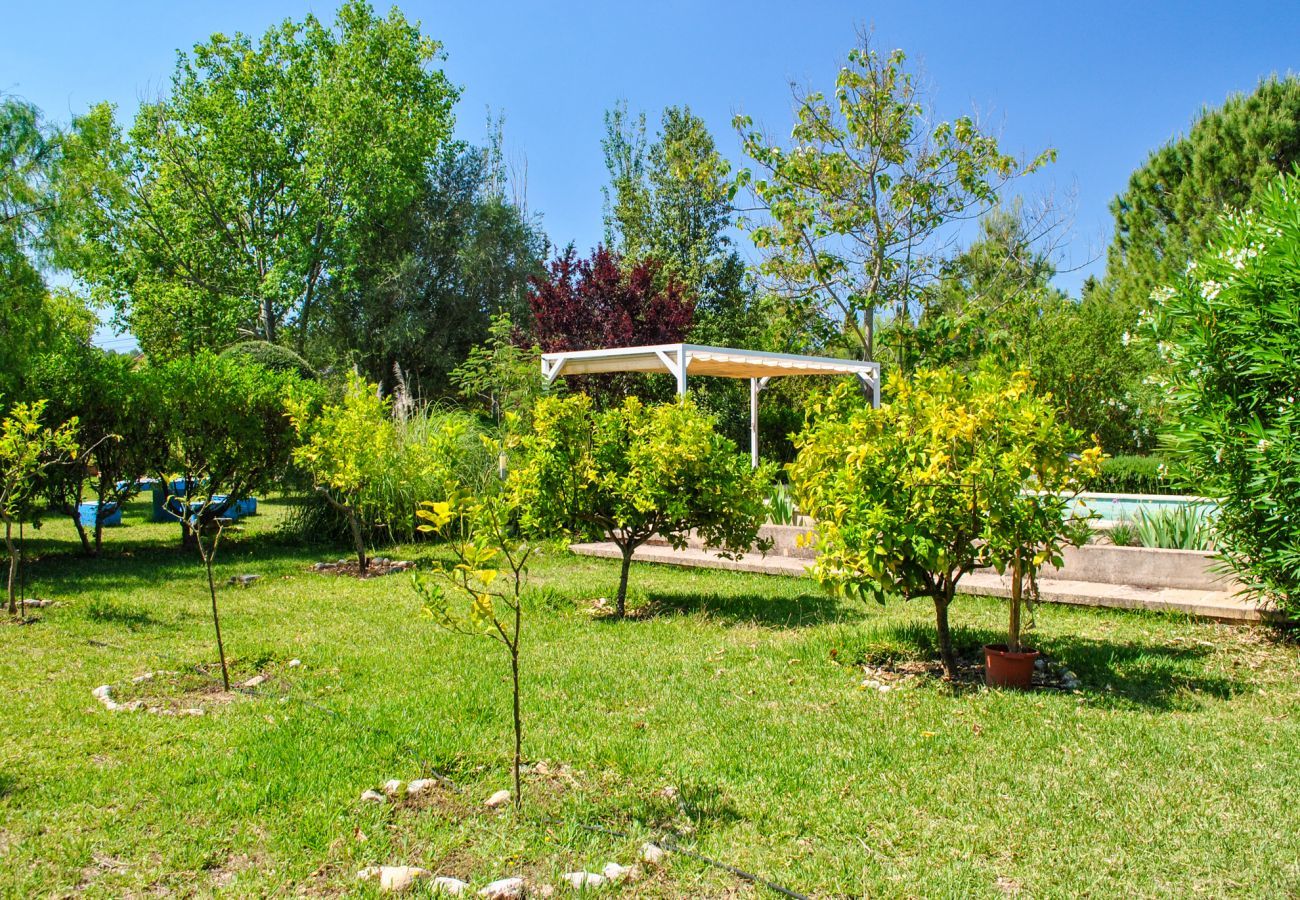Country house in Selva - Baragreen, Finca 5StarsHome Mallorca