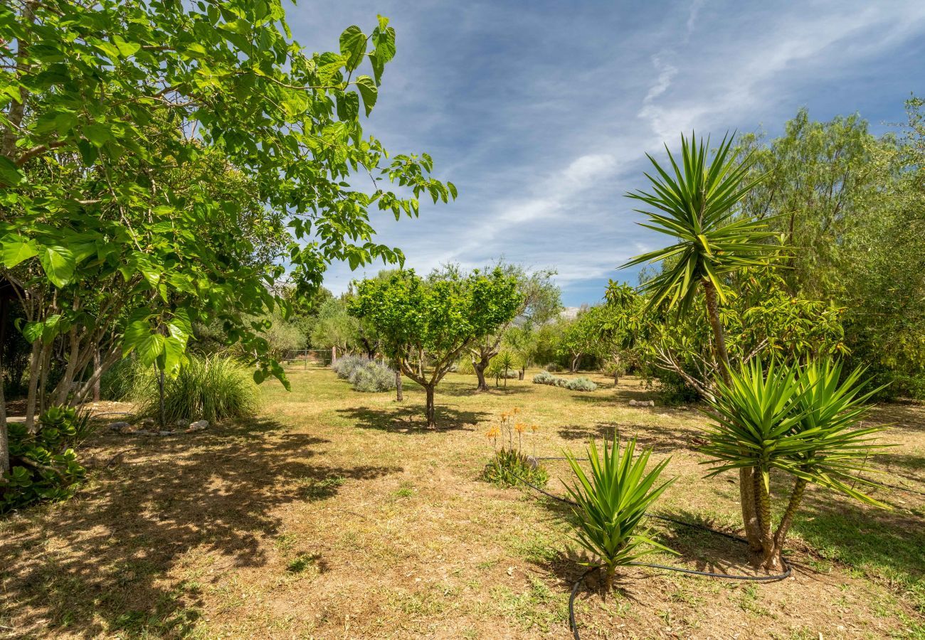 Country house in Selva - Baragreen, Finca 5StarsHome Mallorca