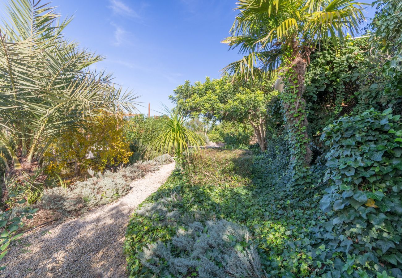 Villa in Ariany - Aripons, Villa 5StarsHome Mallorca