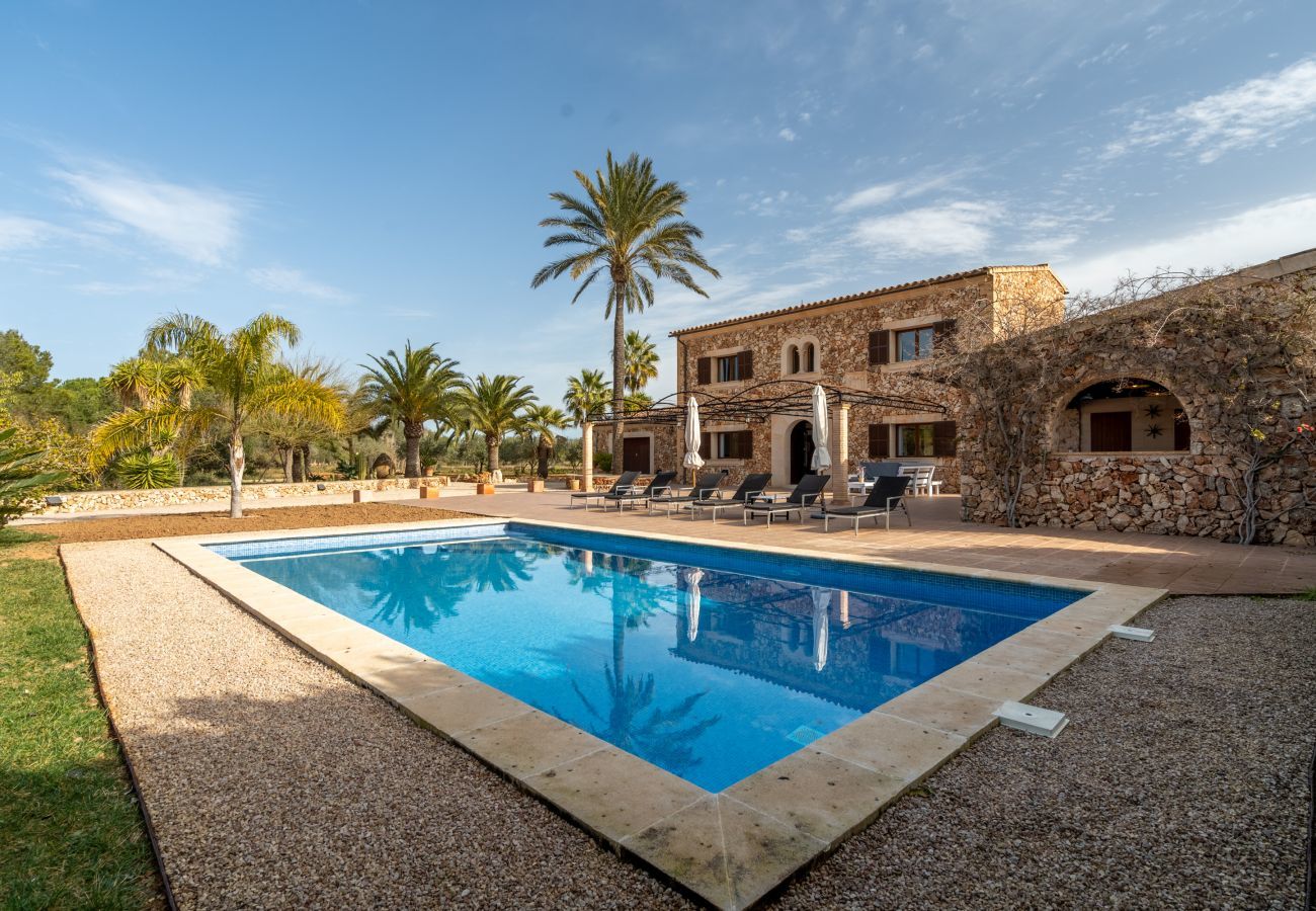 Beautiful villa with swimming pool