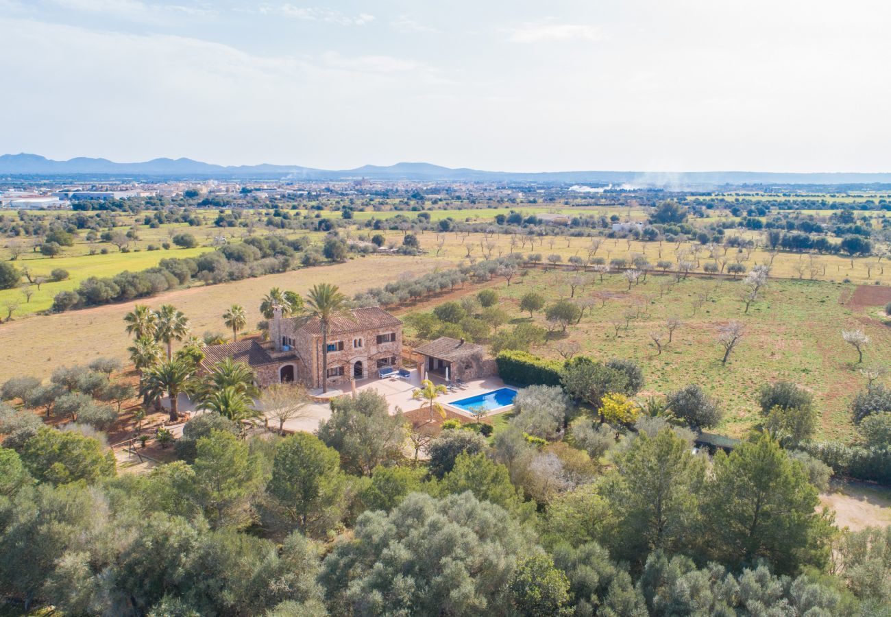 Country house in Campos - Zacher, Finca 5StarsHome Mallorca