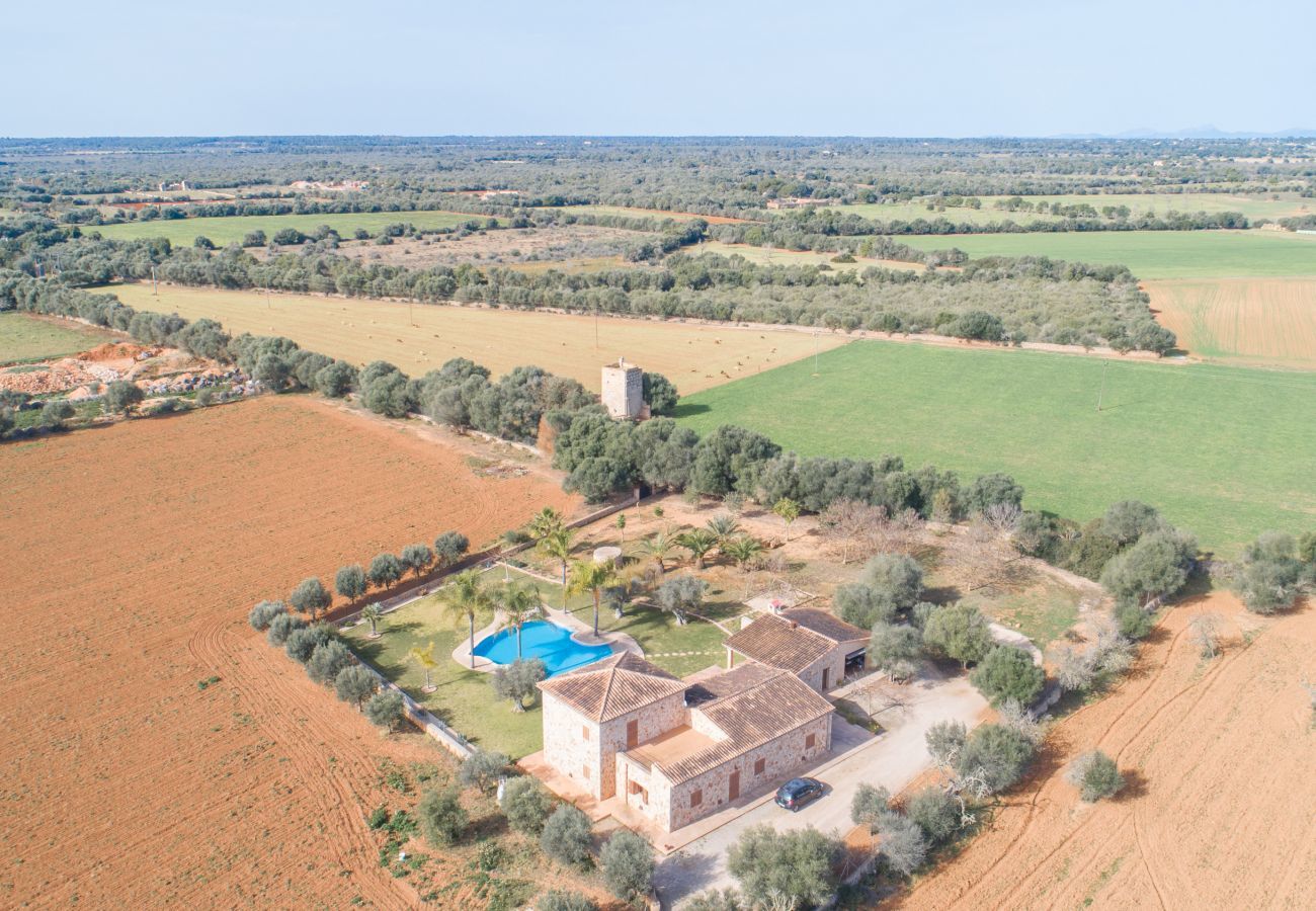 Country house in Campos - Zacher, Finca 5StarsHome Mallorca
