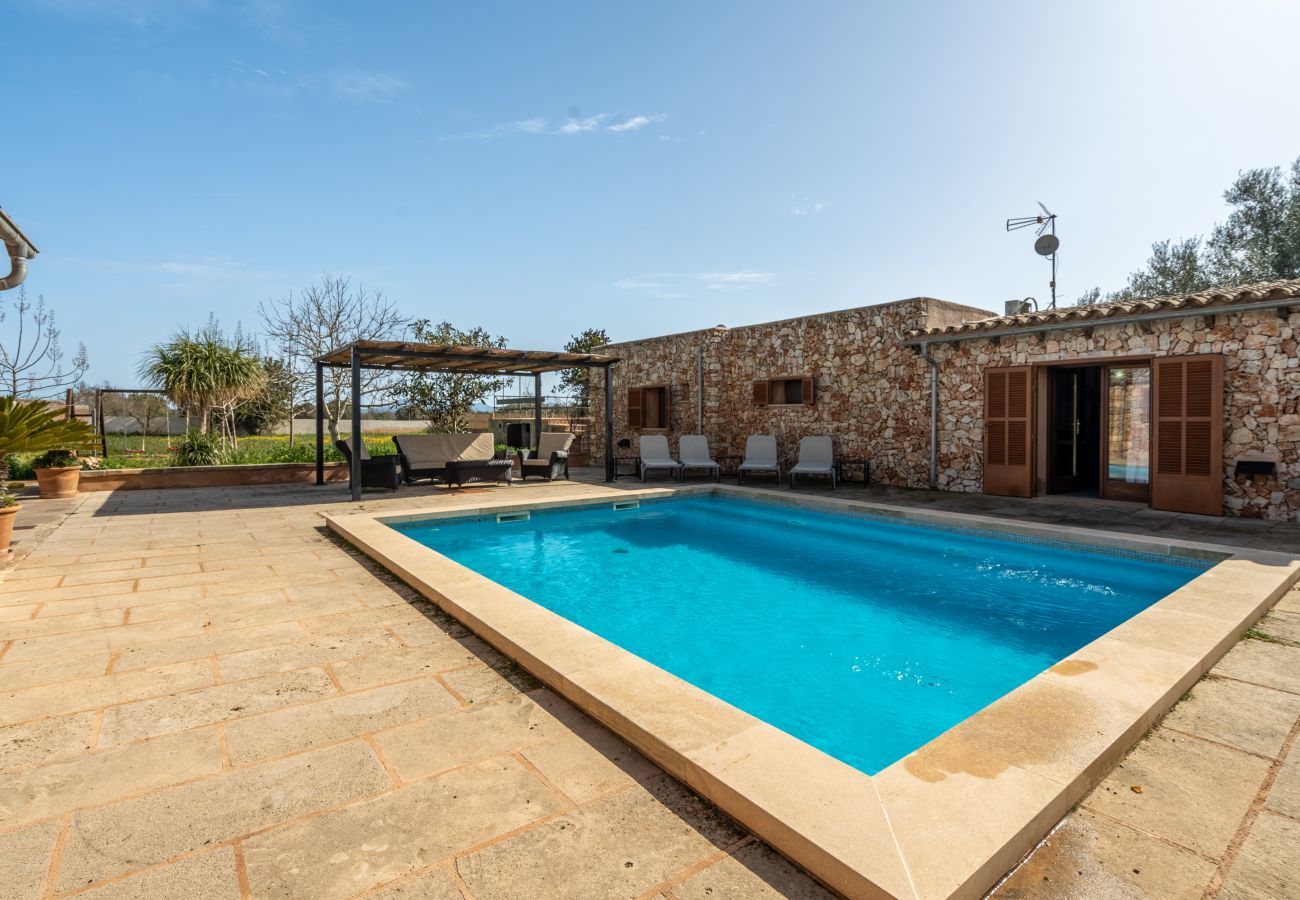 Beautiful villa with swimming pool