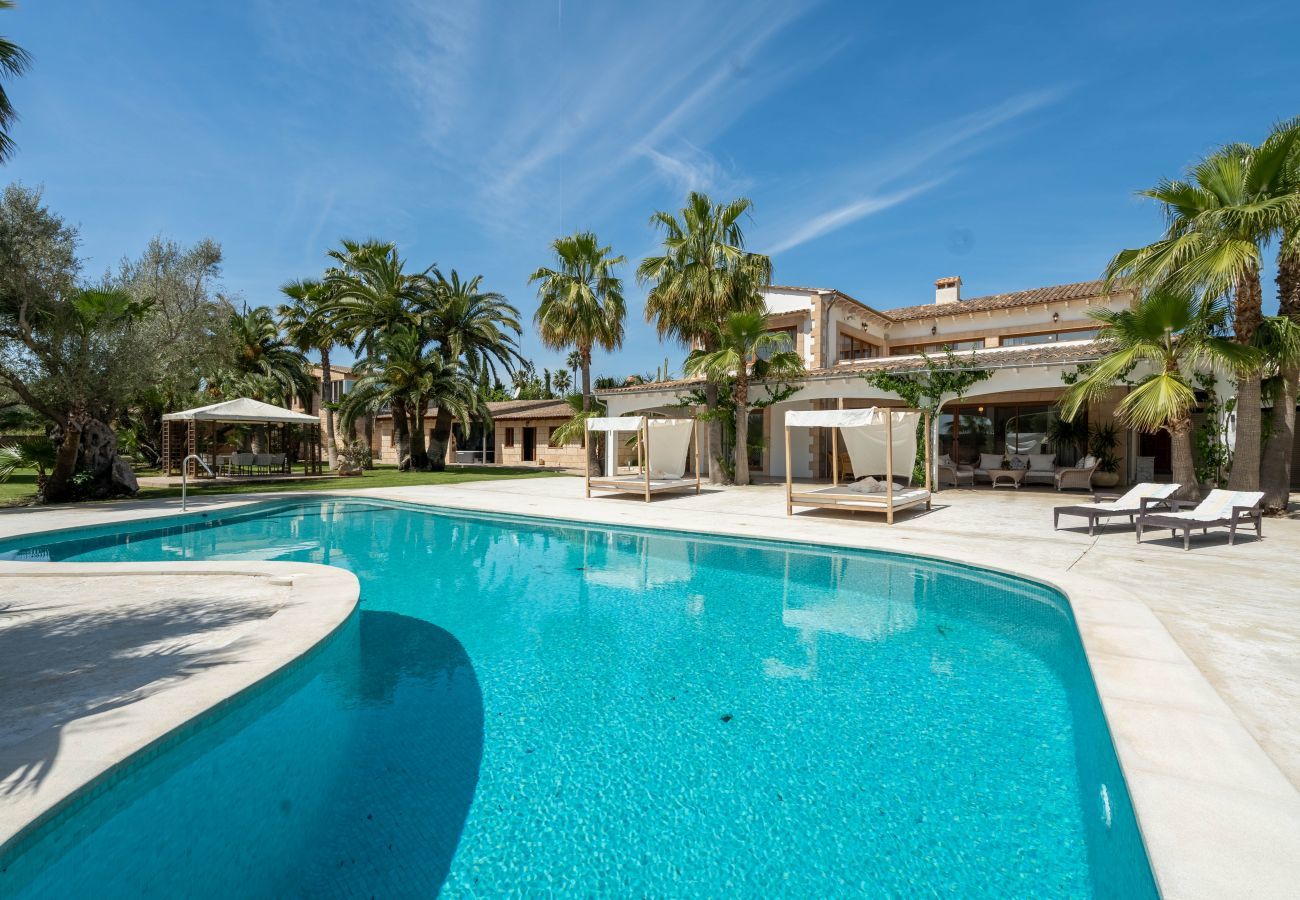 Villa with independent house, air conditioning, wifi, garden, private pool, jacuzzi, spa, barbecue, padel, gym, suna, beach.