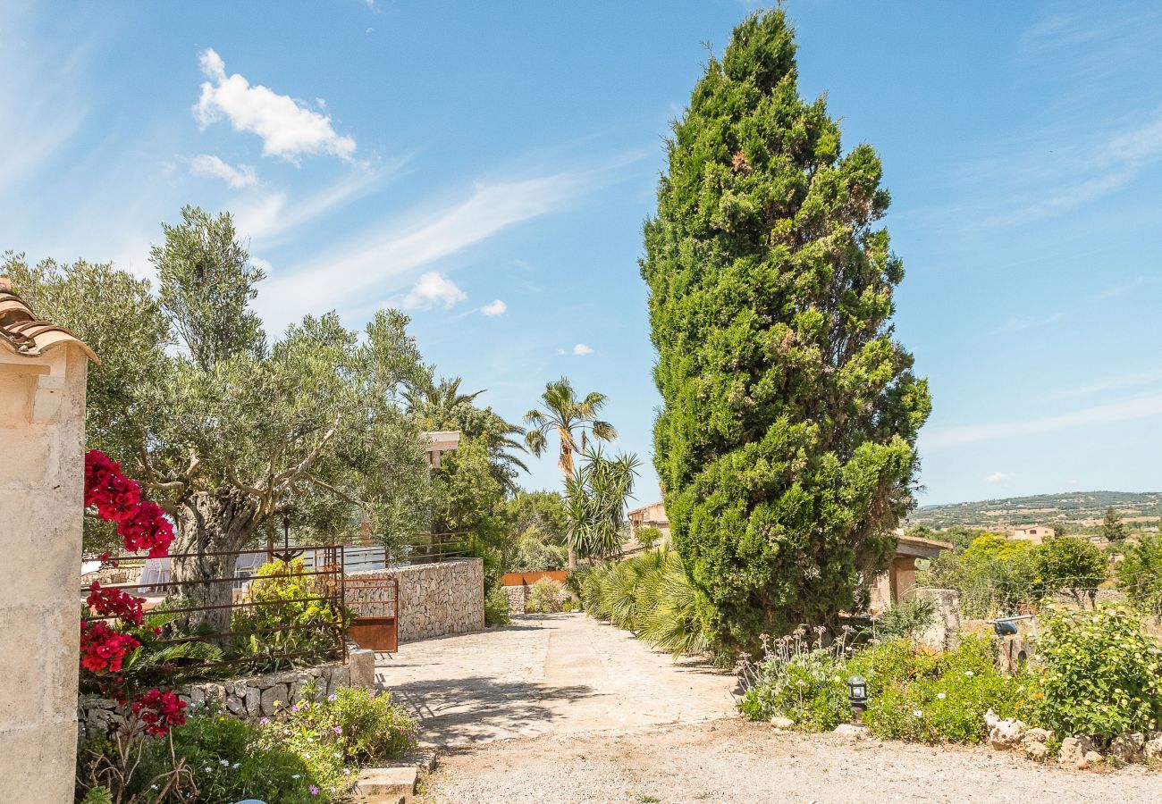 Villa in Sant Llorenç Des Cardassar - Zetrinet, Villa 5StarsHome Mallorca