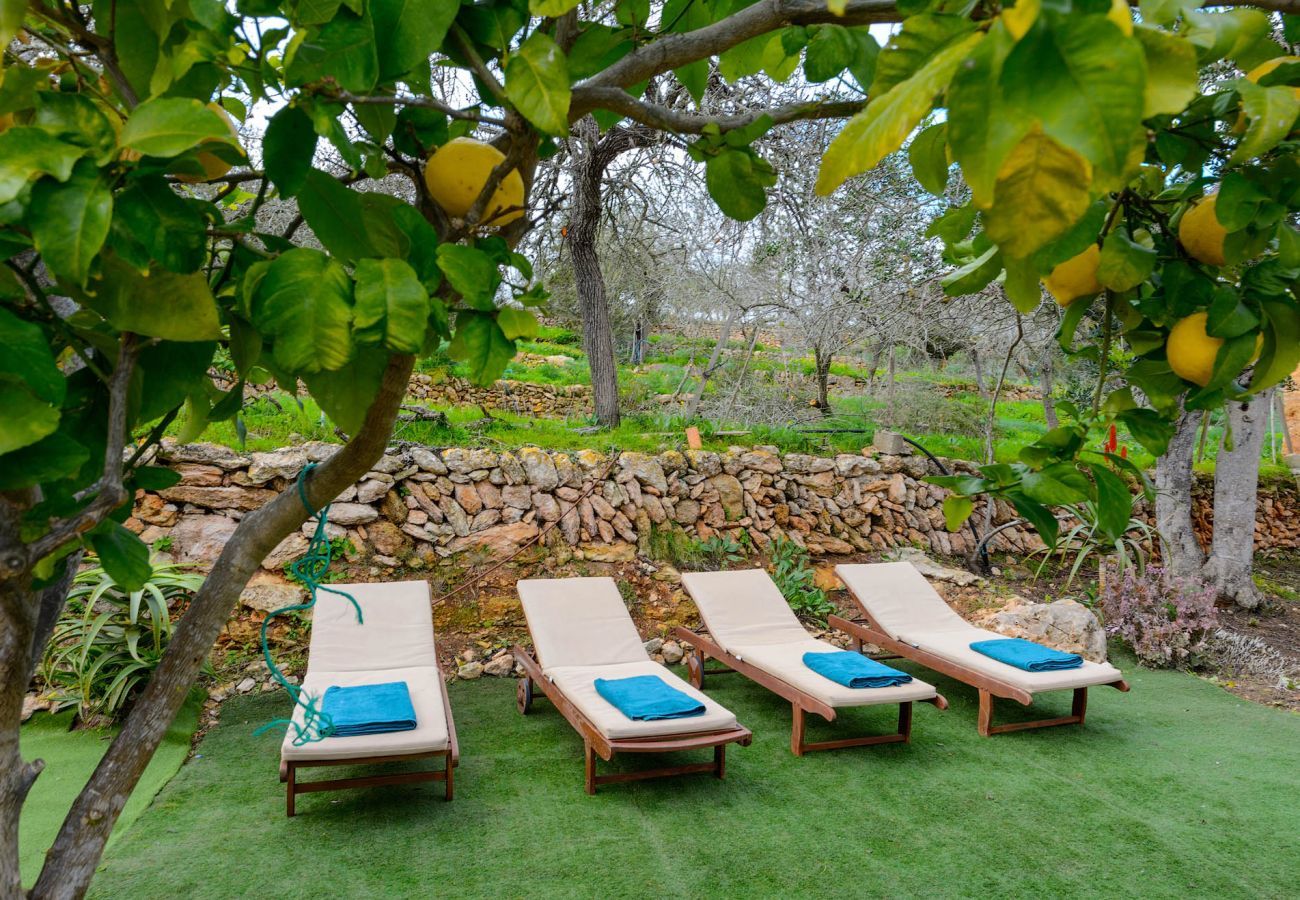 Villa in Sant Llorenç de Balafia - Betcana, Villa 5StarsHome Ibiza