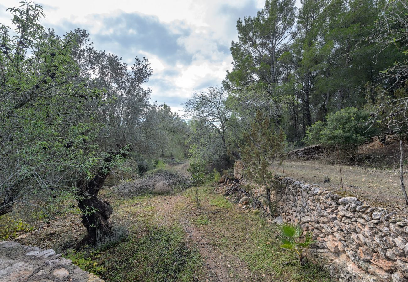 Villa in Sant Llorenç de Balafia - Betcana, Villa 5StarsHome Ibiza