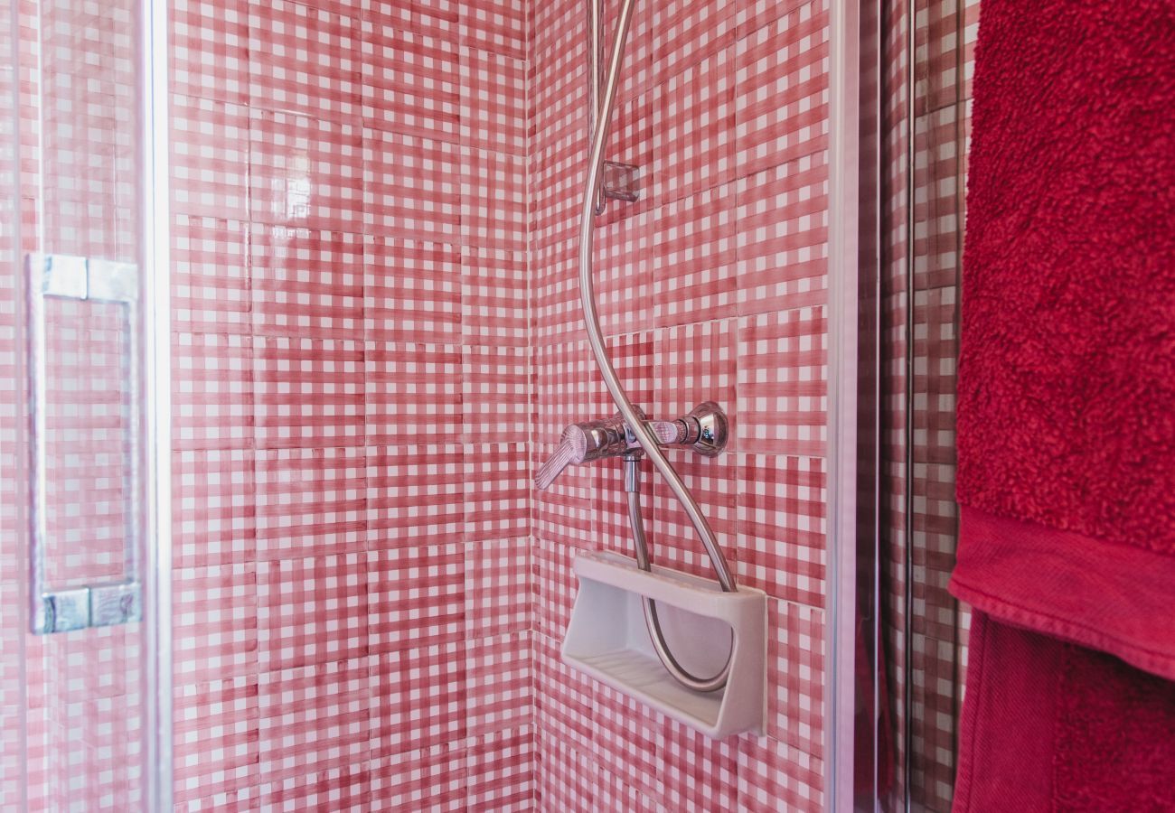 Country house in Ferreries - Finca MASSO