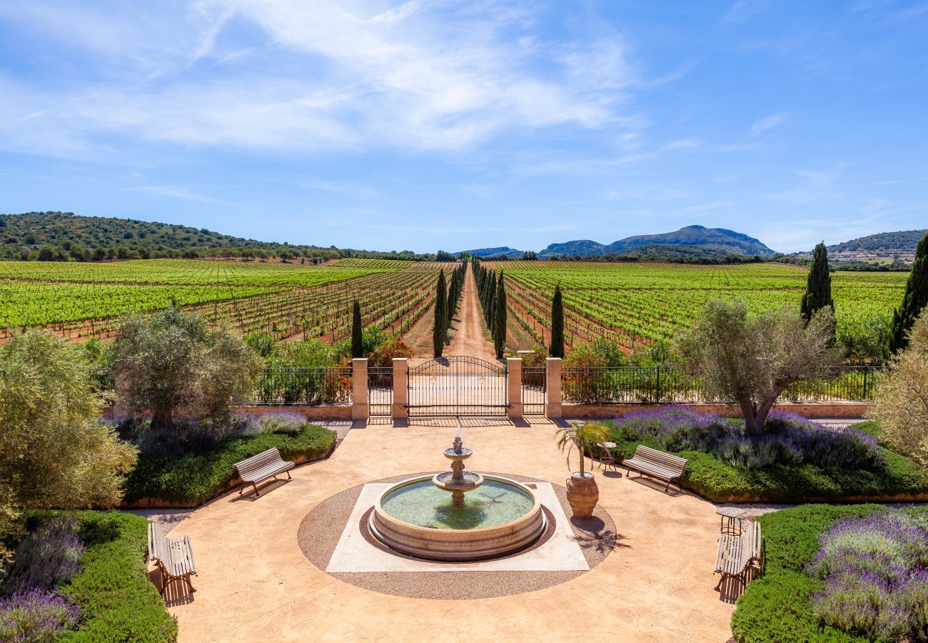 Country house in Petra - Petralux 147, Finca 5StarsHome Mallorca