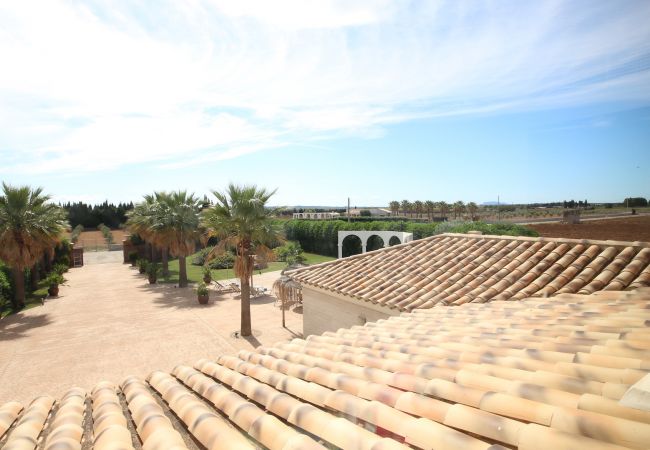 Villa/Dettached house in Sa Pobla - Eden Son Manyo 224