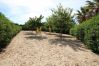Villa/Dettached house in Sa Pobla - Eden Son Manyo 224